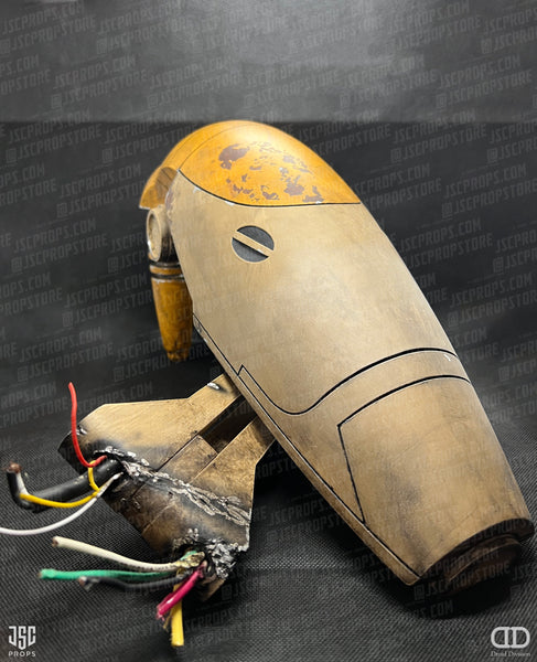 1:1 "Rodger" Robot Head Kit Fan Inspired Prop Replica